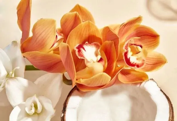 Miniature 3
